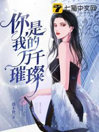 你是我的万千璀璨介绍