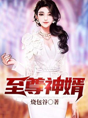 至尊神婿叶昊免费完整版无弹窗