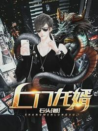 上门龙婿林变