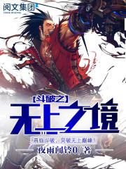 斗破苍穹之无上之境免费观看!!