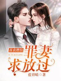罪妻求放过有声