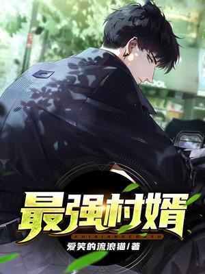 最强村婿薛兵