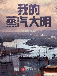 蒸汽大明盘搜搜