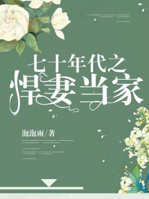 七十年代之悍妻当家txt