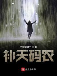 补天码农好看吗