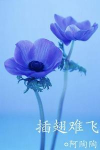 女主叫沈初云