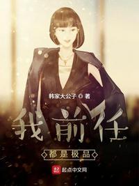 前任都是极品 番外