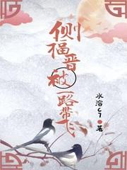 侧福晋是啥