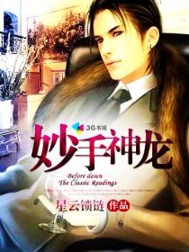 妙手神龙短剧免费观看