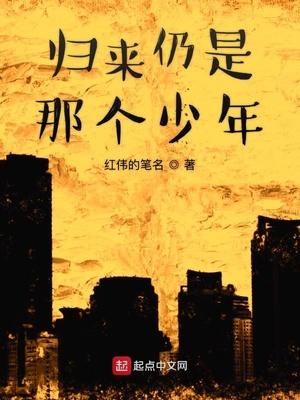 归来仍是那个少年上一句