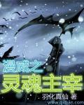 美漫之灵魂主宰 聚合中文网