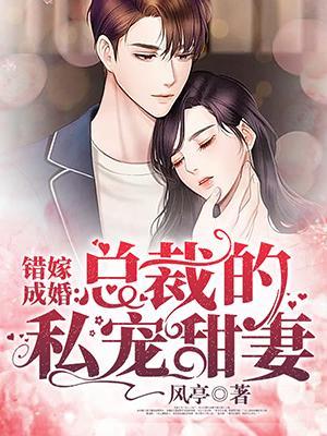 秦舒褚临沉大结局错嫁成婚