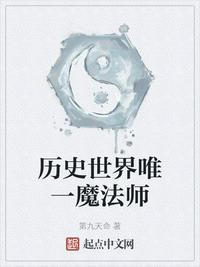 历史世界唯一魔法师类似的