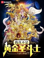 我真不是黄金圣斗士顶点