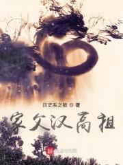 家父汉高祖TXT