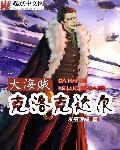 海贼王克洛克达尔篇