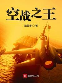 空战之王 第133章