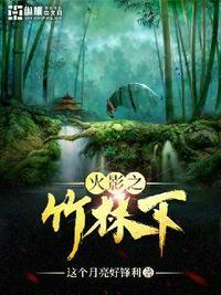 火影之完结