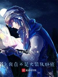 精灵我真不是全能