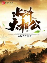 水浒大相公是什么官