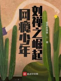网瘾少年刘禅之崛起好看吗
