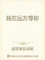 我在远方等你一只舟