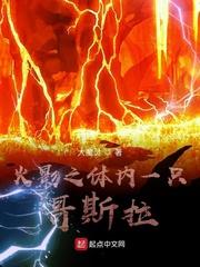 木叶之体内一只哥斯拉无防盗