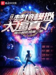 梦镜模拟器