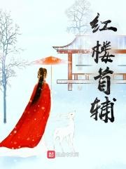 红楼首辅贤妻