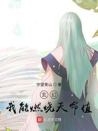 玄幻我能燃烧天命值全文