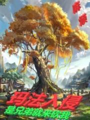 法师传奇3玛法入侵tⅹt
