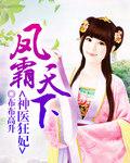 神医狂妃之凤卿天下