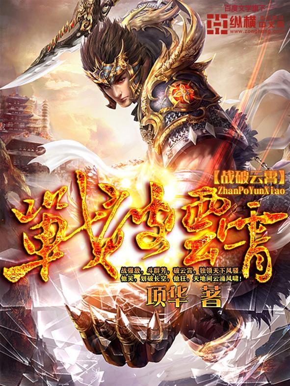 战破云霄全集txt