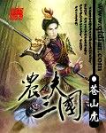 农夫三国无错