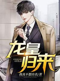 龙皇归来叶凌赵无极