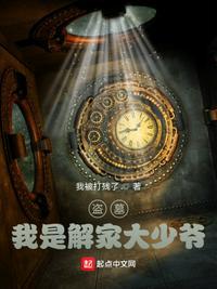 盗墓之我是张家后人