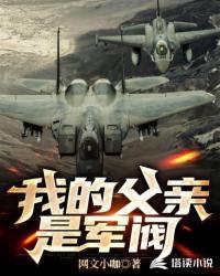 我的父亲是军长
