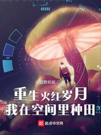 重生火红岁月我在空间种田