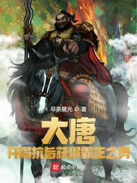 大唐开局获得霸王传承