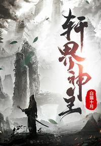 叶轩主人公