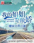 我的姐姐是傲娇动漫在线观看免费高清