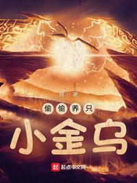 偷偷养只小金乌杜愚的灵器