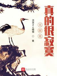 无敌真的寂寞林凡