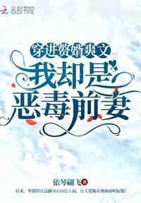 穿入赘婿男主文的前妻