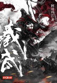 藏武宝物攻略