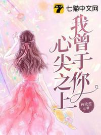 我曾于你心尖之上 安雪
