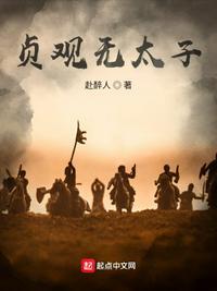 贞观无太子TXT全本