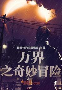 jojo的奇妙冒险第三季