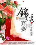 锦绣弃妻免费阅读全文