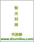 网游之终极盾皇精校txt